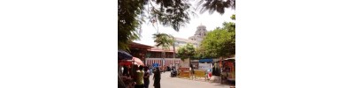 நங்கநல்லூர் (சென்னை)